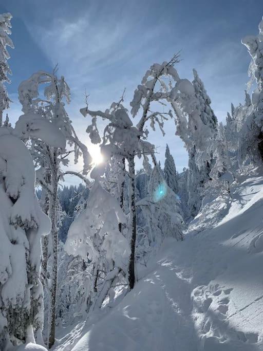 Stube9 Am Feldberg, Direkt An Der Skipiste, Ski In-Ski Out فيلدبرج المظهر الخارجي الصورة