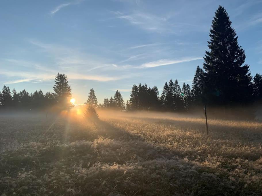 Stube9 Am Feldberg, Direkt An Der Skipiste, Ski In-Ski Out فيلدبرج المظهر الخارجي الصورة