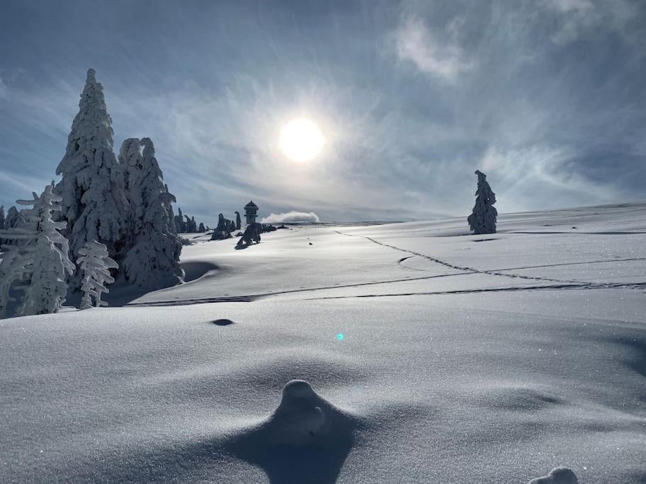 Stube9 Am Feldberg, Direkt An Der Skipiste, Ski In-Ski Out فيلدبرج المظهر الخارجي الصورة