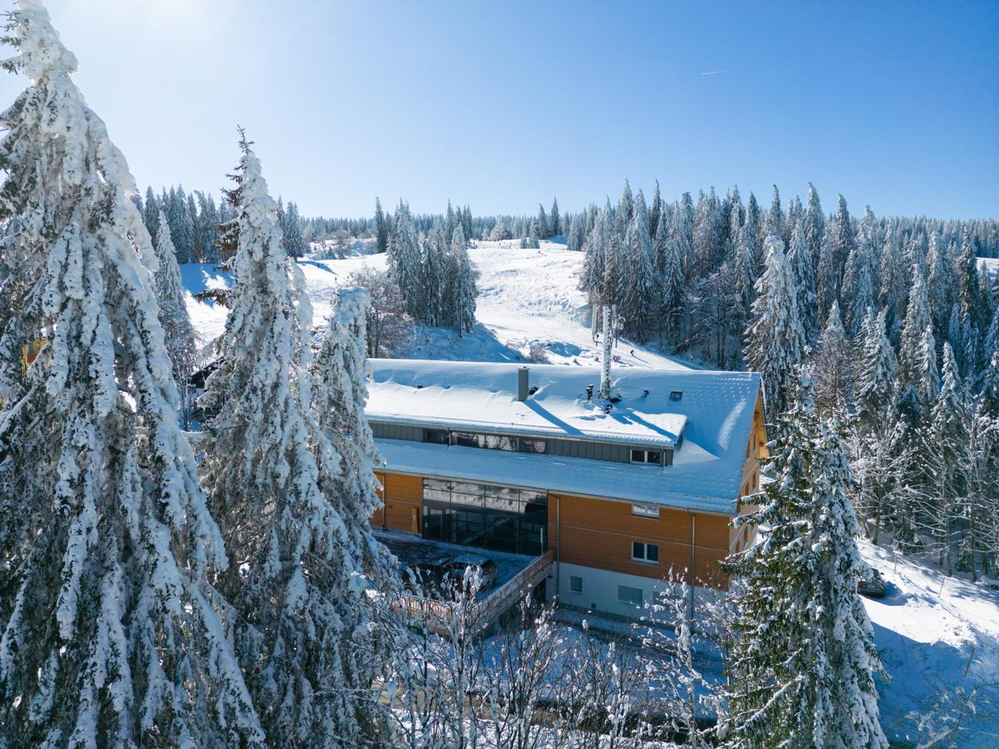 Stube9 Am Feldberg, Direkt An Der Skipiste, Ski In-Ski Out فيلدبرج المظهر الخارجي الصورة