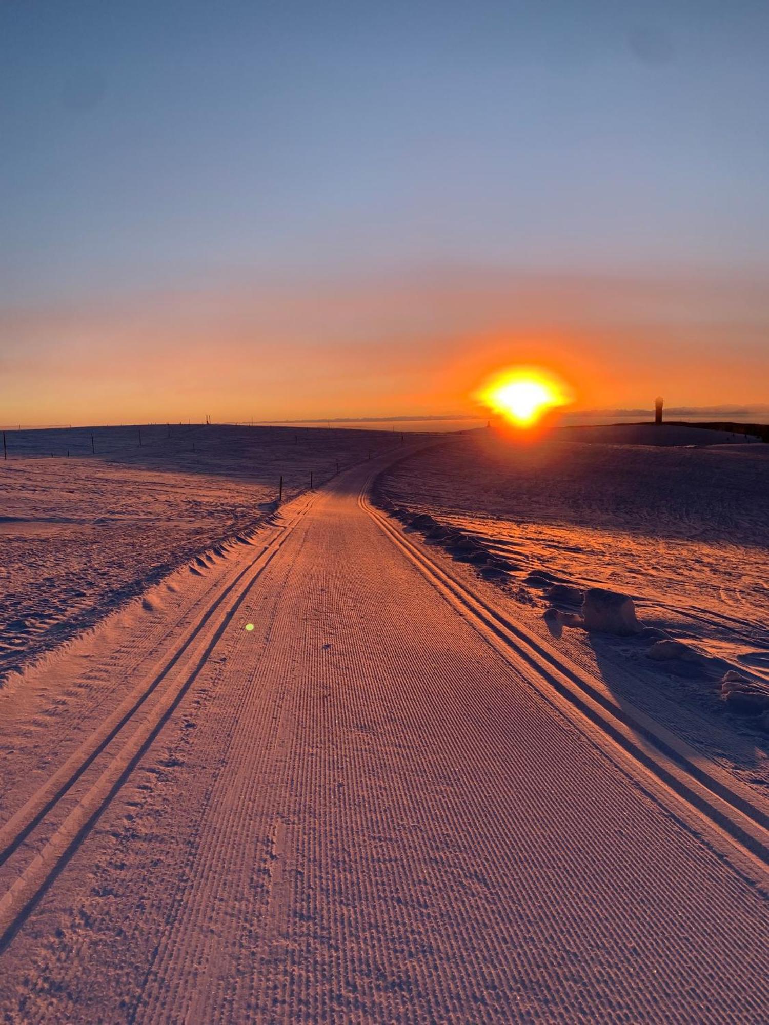Stube9 Am Feldberg, Direkt An Der Skipiste, Ski In-Ski Out فيلدبرج المظهر الخارجي الصورة